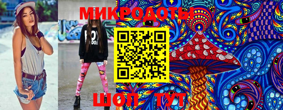 Галлюциногенные грибы Psilocybine cubensis Мичуринск