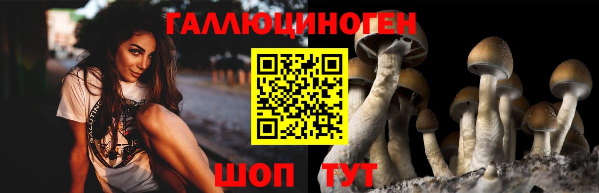 Мичуринск  что такое   Вход с VPN  Галлюциногенные грибы Magic Shrooms 
